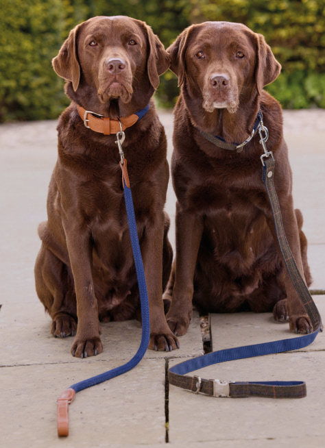 HACKETT x Hugo & Hudson